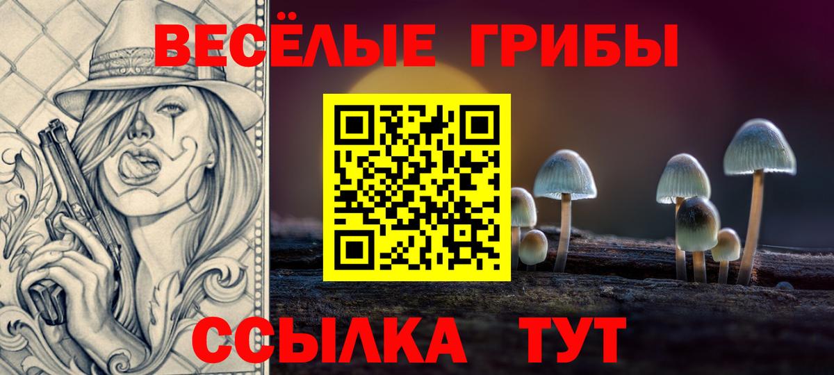 Галлюциногенные грибы Cubensis  Вход с VPN  Тверь  Галлюциногенные грибы MAGIC MUSHROOMS 